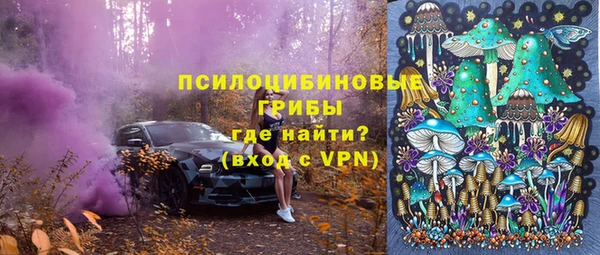 экстази Богданович